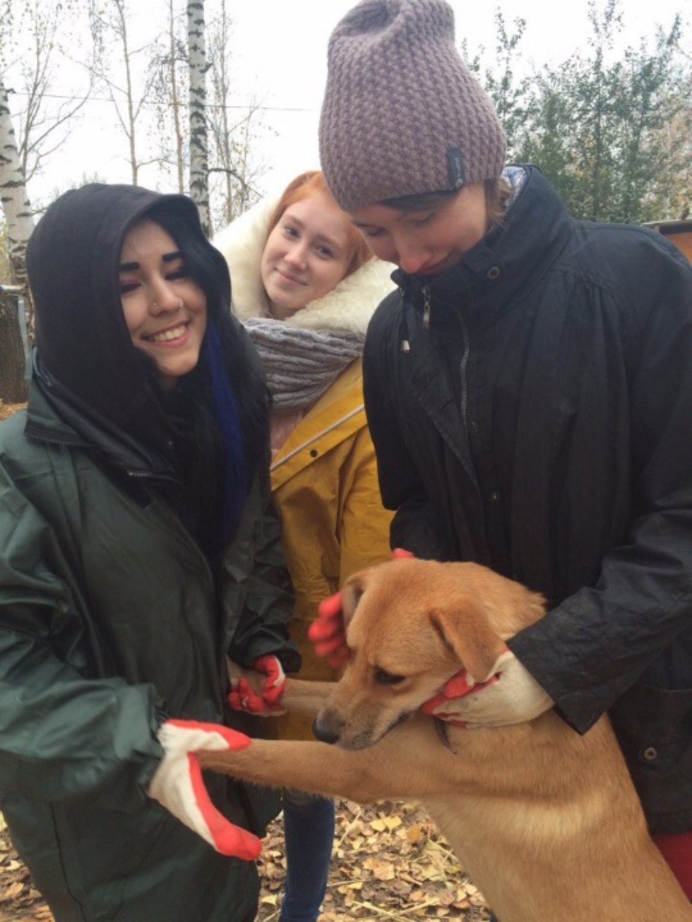 С заботой о братьях наших меньших С заботой о братьях наших меньших