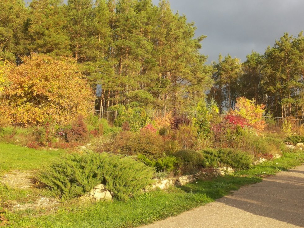 Collections ,Botanical Garden of Kazan Federal University, KFU Botanical Garden