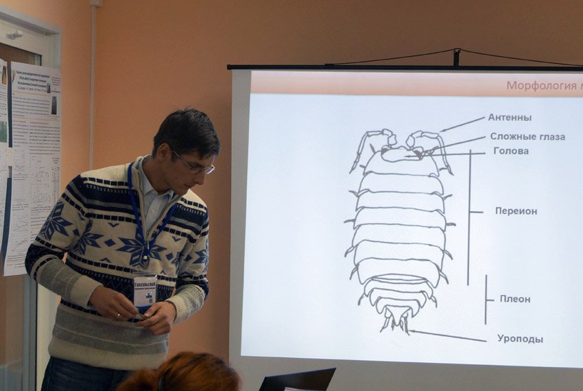 Практическое занятие по определению мокриц проводит Гонгальский К.Б. (ИПЭЭ РАН) В октябре 2013 года пятикурсники кафедры Сайфутдинов Руслан и Кузнецова Светлана приняли участие в третьей полевой школе по почвенной зоологии и экологии для молодых ученых 'Почвенно-зоологические исследования: от планирования к публикации'.