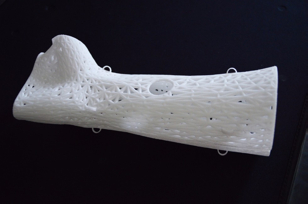  ,additive manufacturing, 3d print, biomedical engineering