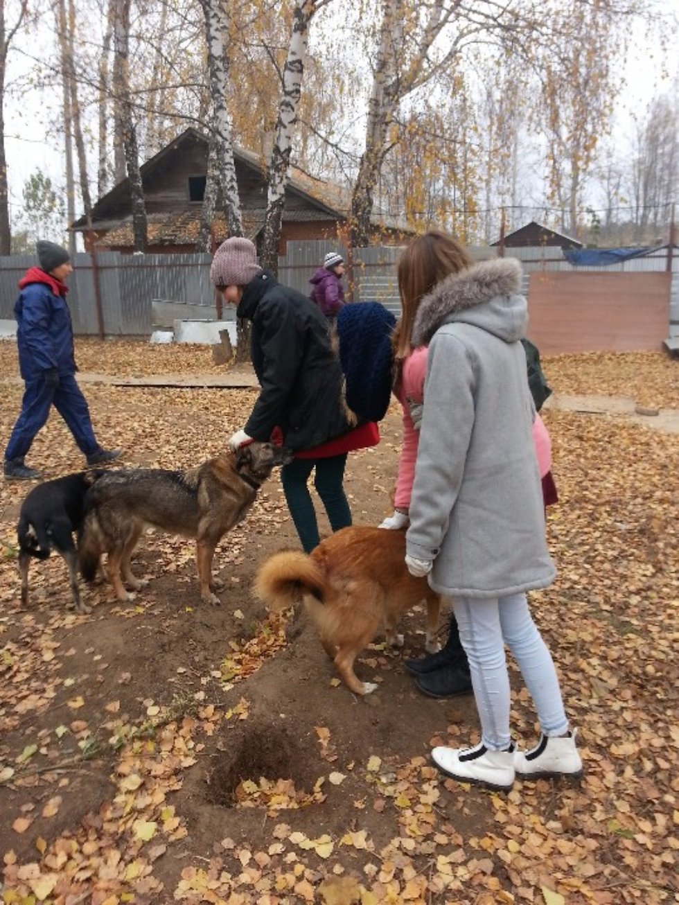 С заботой о братьях наших меньших С заботой о братьях наших меньших