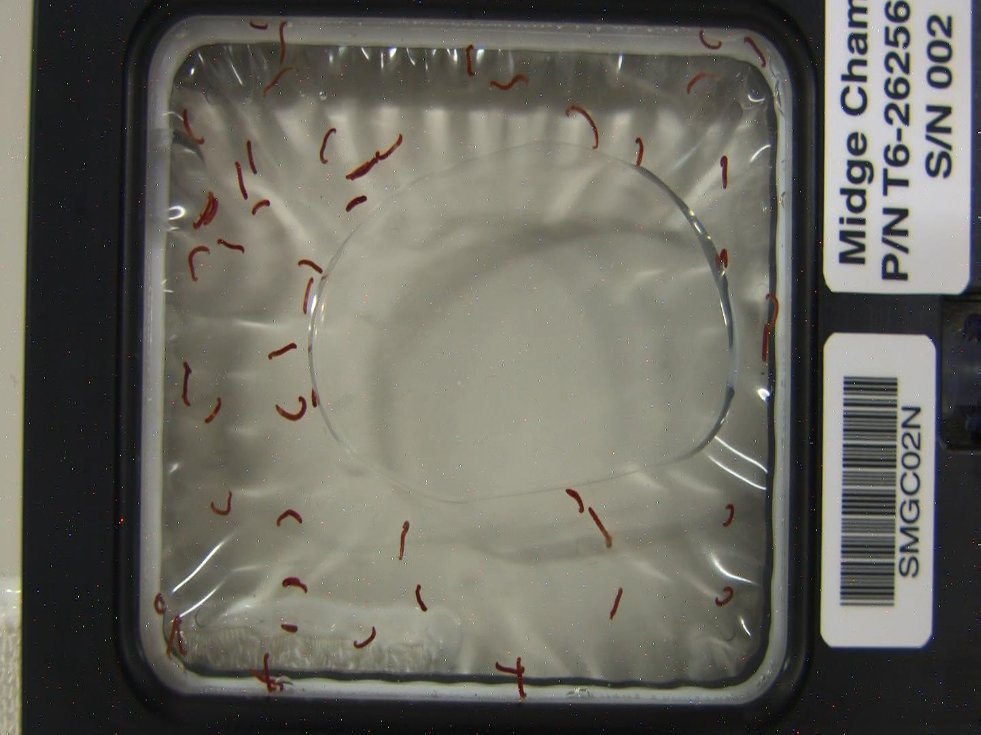 Получены первые результаты международного космического эксперимента Space Midge Получены первые результаты международного космического эксперимента Space Midge