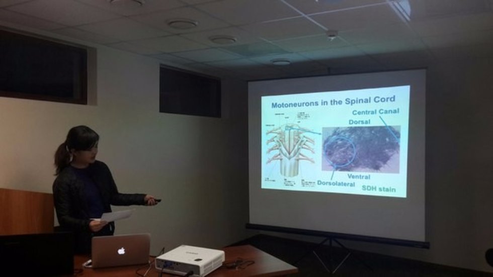 В последний день зимы состоялся семинар, организованный лабораторией 'Экстремальная биология', посвященный изучению атрофии мышц и спячке В последний день зимы состоялся семинар, организованный лабораторией 'Экстремальная биология', посвященный изучению атрофии мышц и спячке