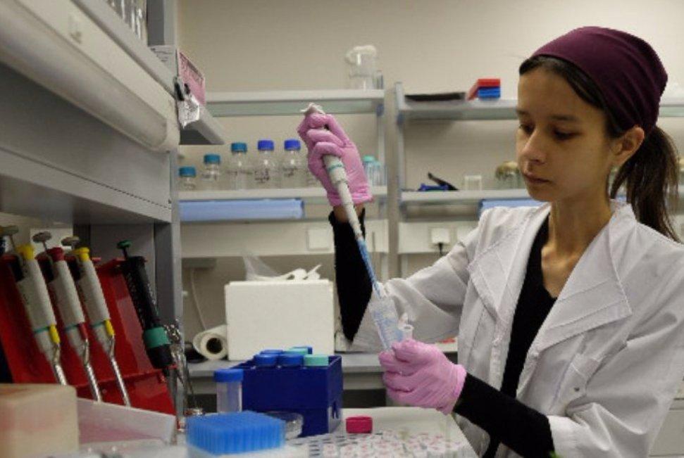 A New Way to Help Plants Utilize Hardly Digestible Organic Phosphorus A New Way to Help Plants Utilize Hardly Digestible Organic Phosphorus