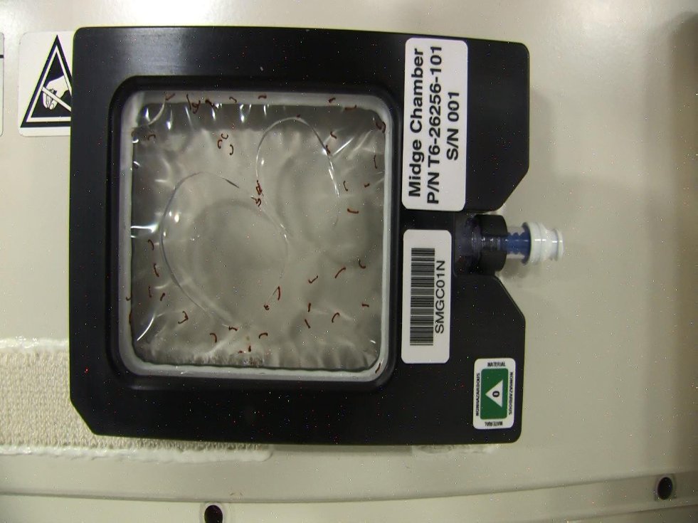 Получены первые результаты международного космического эксперимента Space Midge Получены первые результаты международного космического эксперимента Space Midge