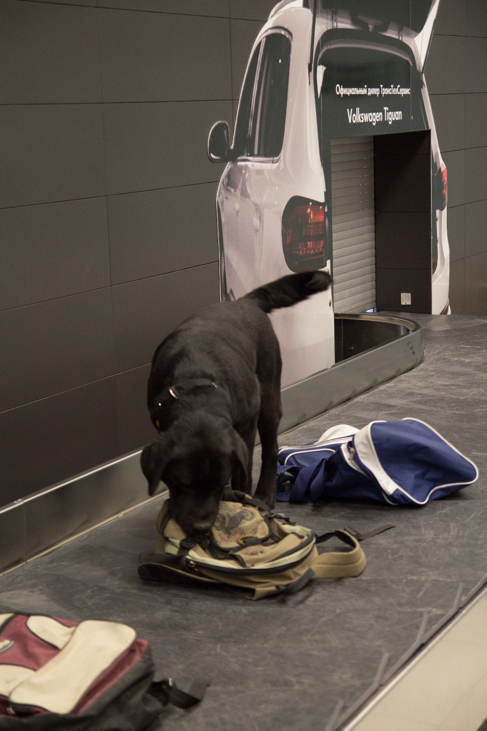 Журналисты-первокурсники узнали о работе таможни Журналисты-первокурсники узнали о работе таможни