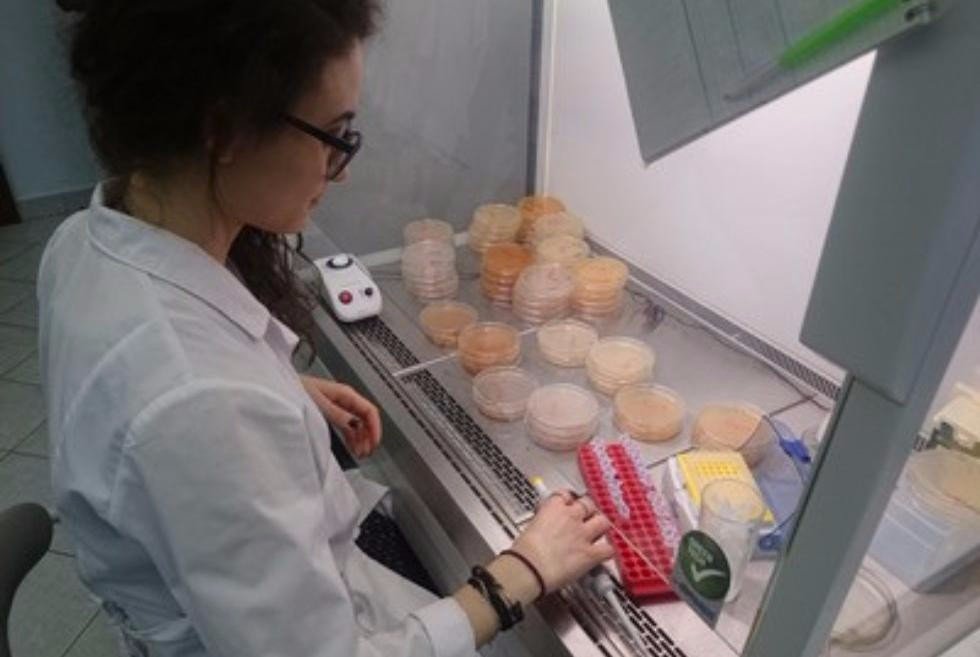 KFU Student Develops Innovative Membranes for Bifidobacteria ,student research, awards, international cooperation