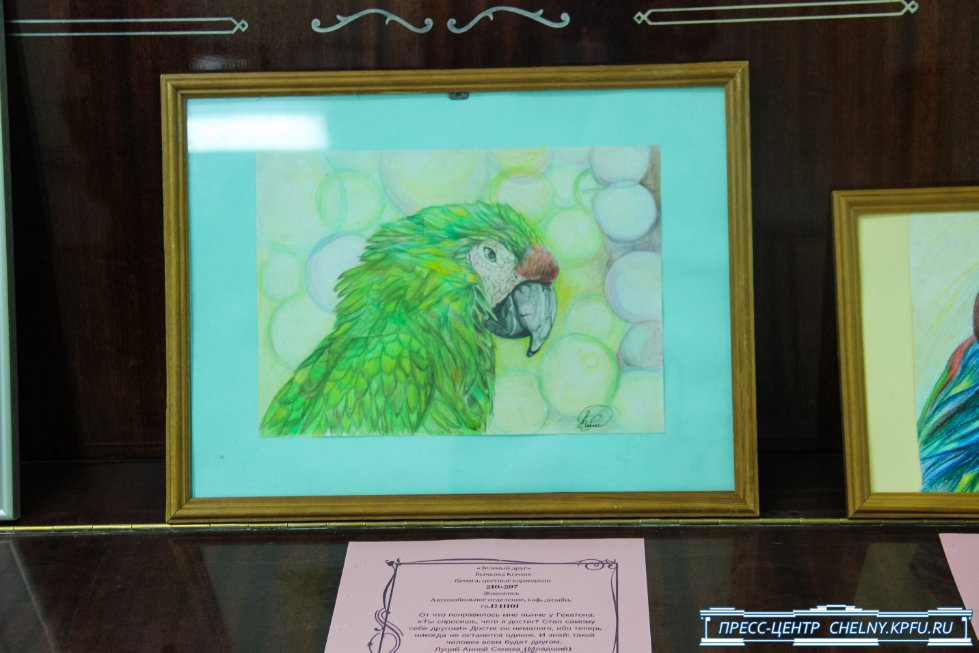 Будь 'В фокусе'! Будь 'В фокусе'!