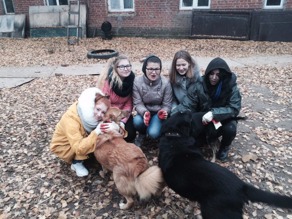 С заботой о братьях наших меньших С заботой о братьях наших меньших