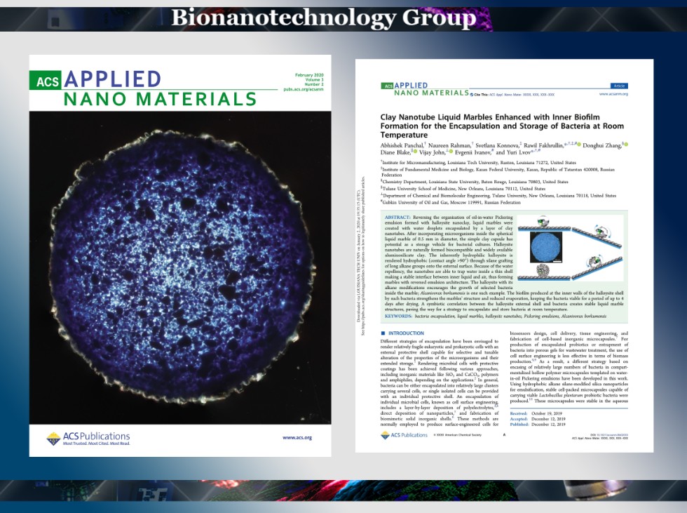2019    20 әә ,ACS Applied Nano Materials, һә өәә, Alcanivorax brkumensis
