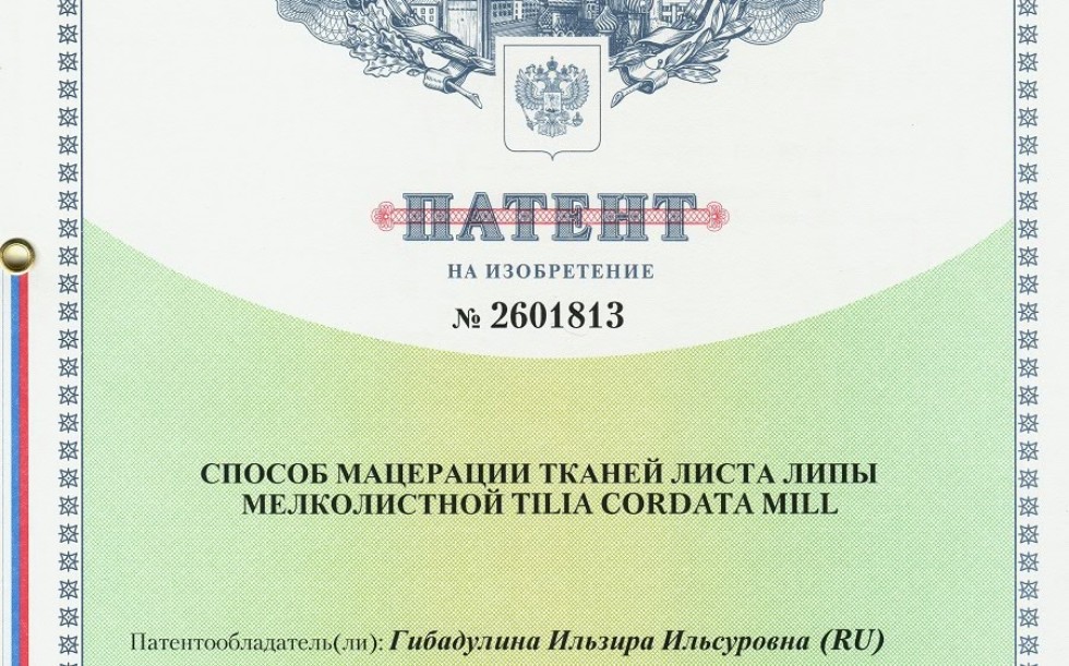 На изобретение ученого Елабужского института КФУ получен патент На изобретение ученого Елабужского института КФУ получен патент