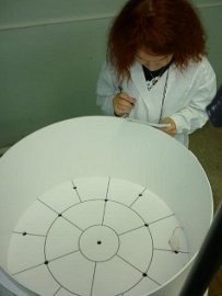 Научная Работа кфедры Научная Работа кфедры