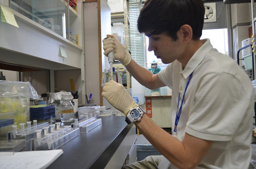 Подготовка образцов для исследования Научная стажировка в Институте биоресурсов Окаямского университета