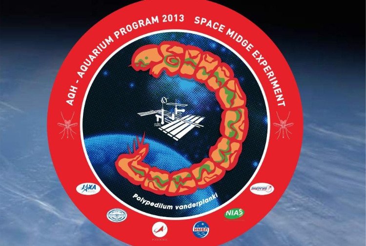 Kazan Federal University will participate in space project