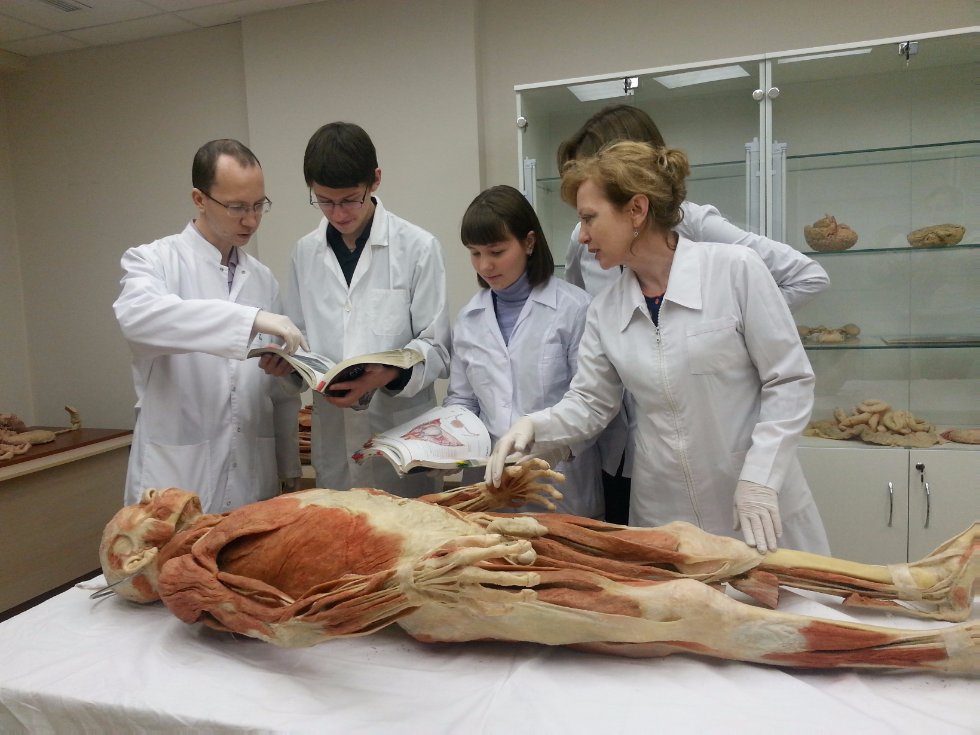 Anatomiya ,Anatomy, Human Anatomy, Department of Morphology and General Pathology