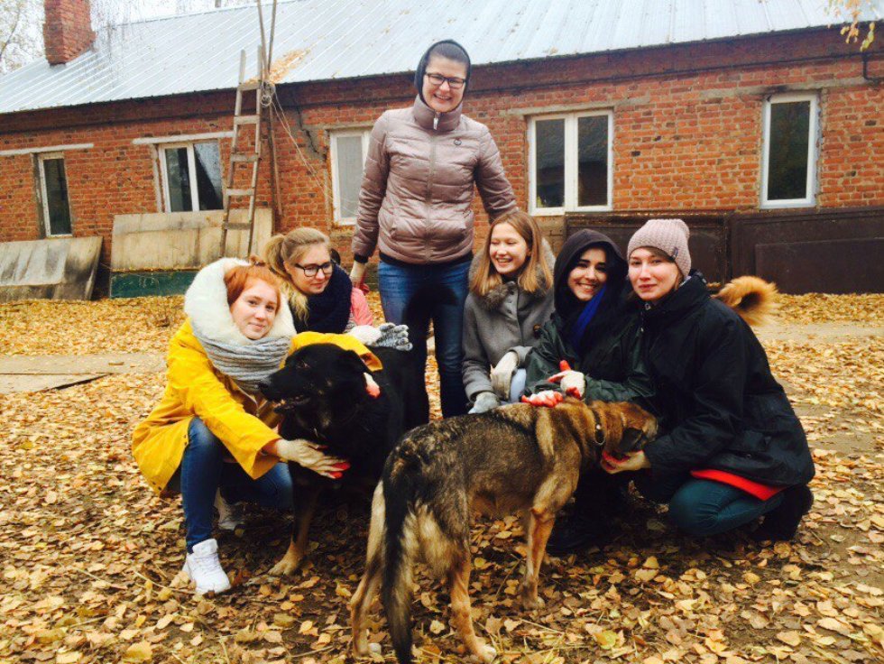 С заботой о братьях наших меньших С заботой о братьях наших меньших