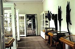 Information for Visitors ,museum,zoology, visit