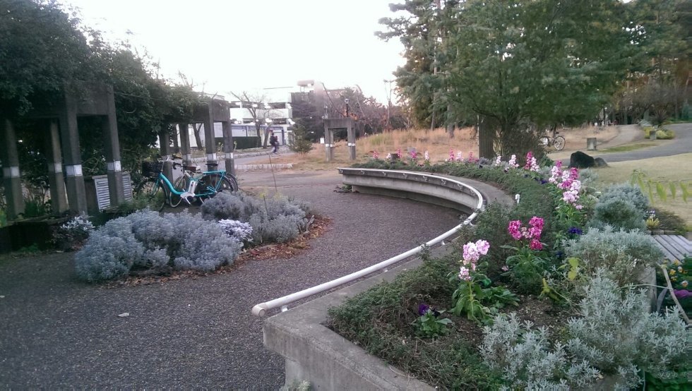 Лилия Фахретдинова: Exchange Research Student Лилия Фахретдинова: Exchange Research Student