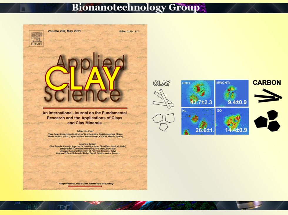 Biologists conducted a comparative toxicity analysis of clay and carbon nanomaterials ,Halloysite,kaolinite, multiwalled carbon nanotubes, graphene oxide, cytotoxicity, genotoxicity