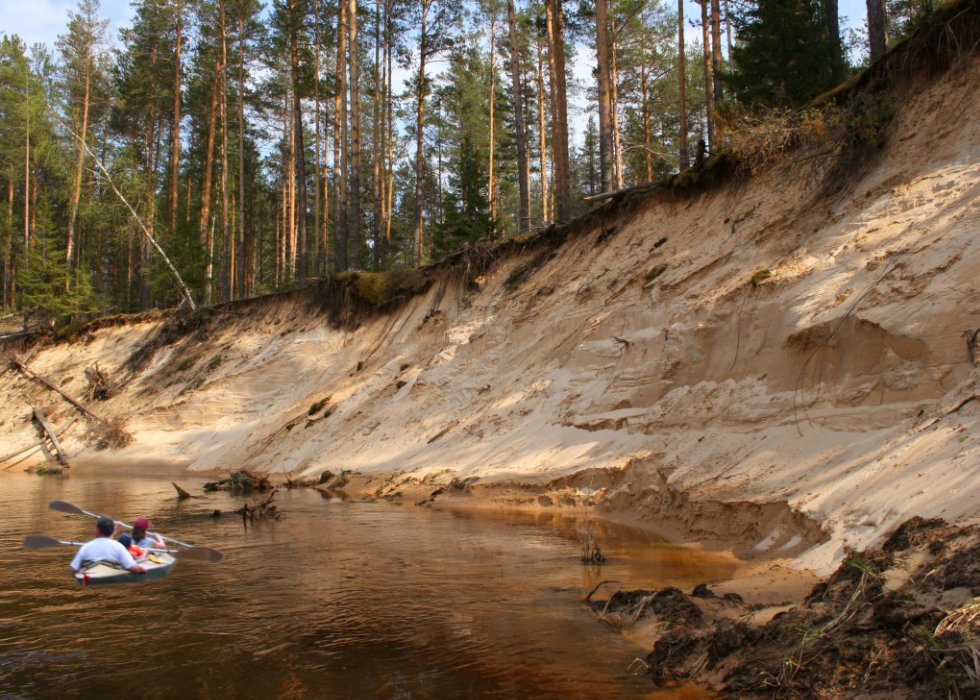 За всю историю Казанской физиологической школы кафедру возглавила женщина За всю историю Казанской физиологической школы кафедру возглавила женщина