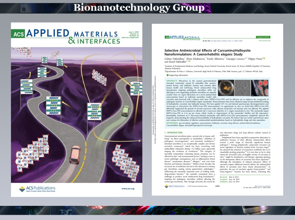 13th article in this year ,ACS Applied Materials & Interfaces, C. elegans, curcumin, halloysite