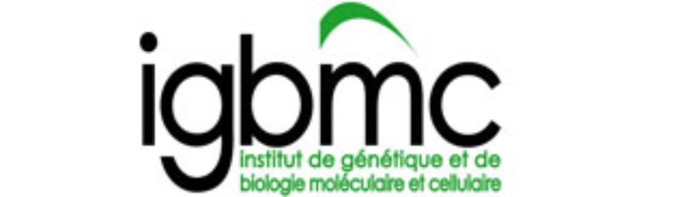ПОРТАЛ КФУ \ Academic Units \ Natural Sciences \ Institute of Fundamental Medicine and Biology \ Structure \ OpenLabs \ Structural Biology