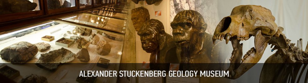   \ On Campus \ Museums \ Alexander Stuckenberg Geology Museum