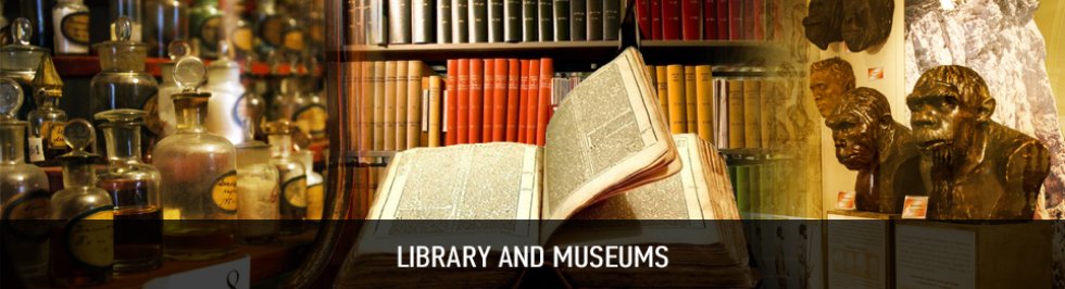   \ Support for prospective students \ Student Life \ Library and Museums