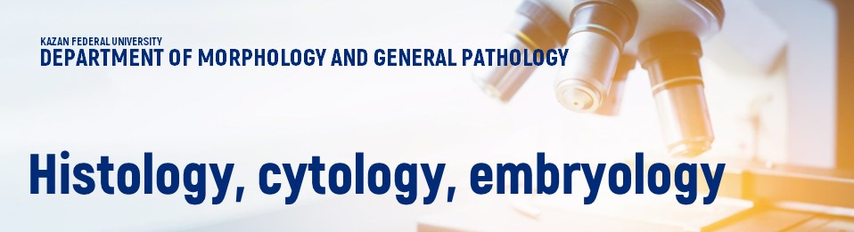   \ Academic Units \ Natural Sciences \ Institute of Fundamental Medicine and Biology \ Structure \ Departments \ Department of Morphology and General Pathology \ Education \ Histology, cytology, embryology