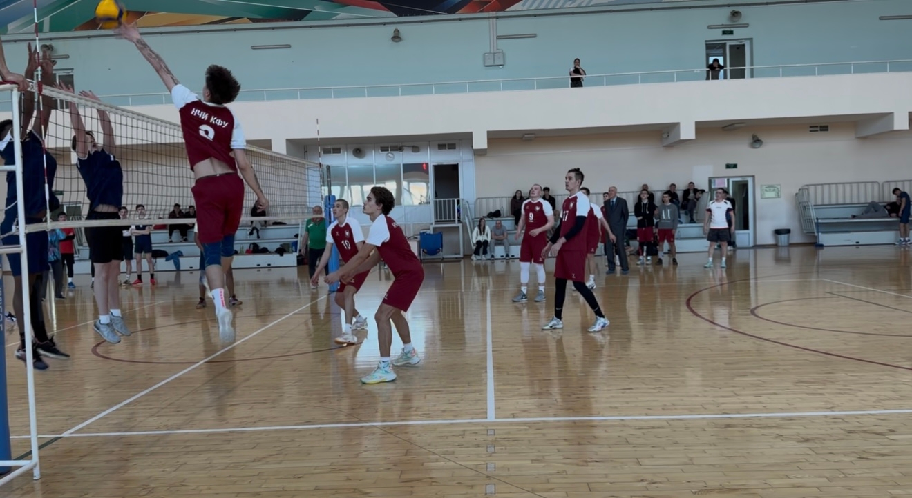 ������ �� ���������