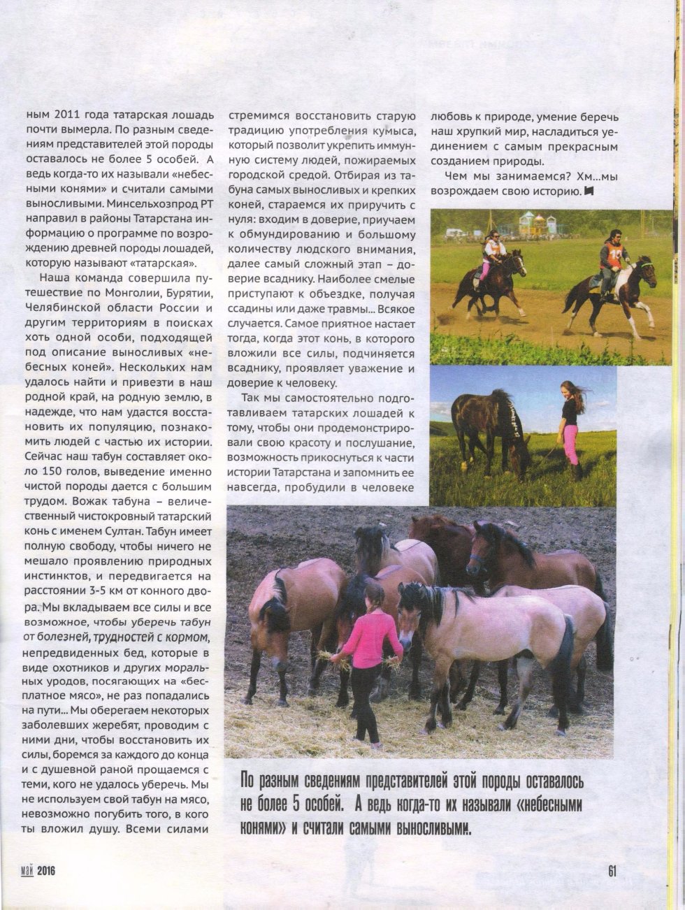 ��������� ������� ��������������� ��������� - ����� �������