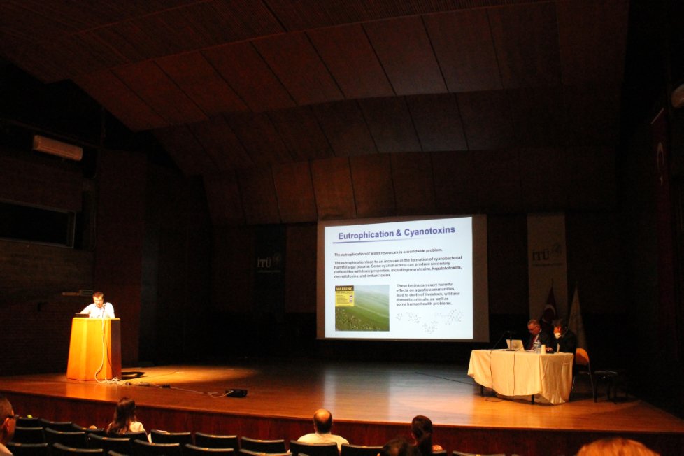 6-�� ����������� ����������� ������� ������������ ������� ������� '������ + �����' ������������� ������ ���������� (28-30 ���)