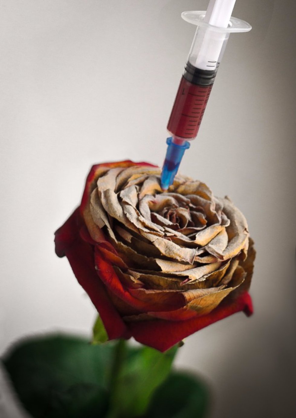 ������� '���������� ������� 2016' ,���������� ������� 2016, ������� ������ � ��������������� � ���������� �����������, ��������� �������� ����������� �������� 2.0