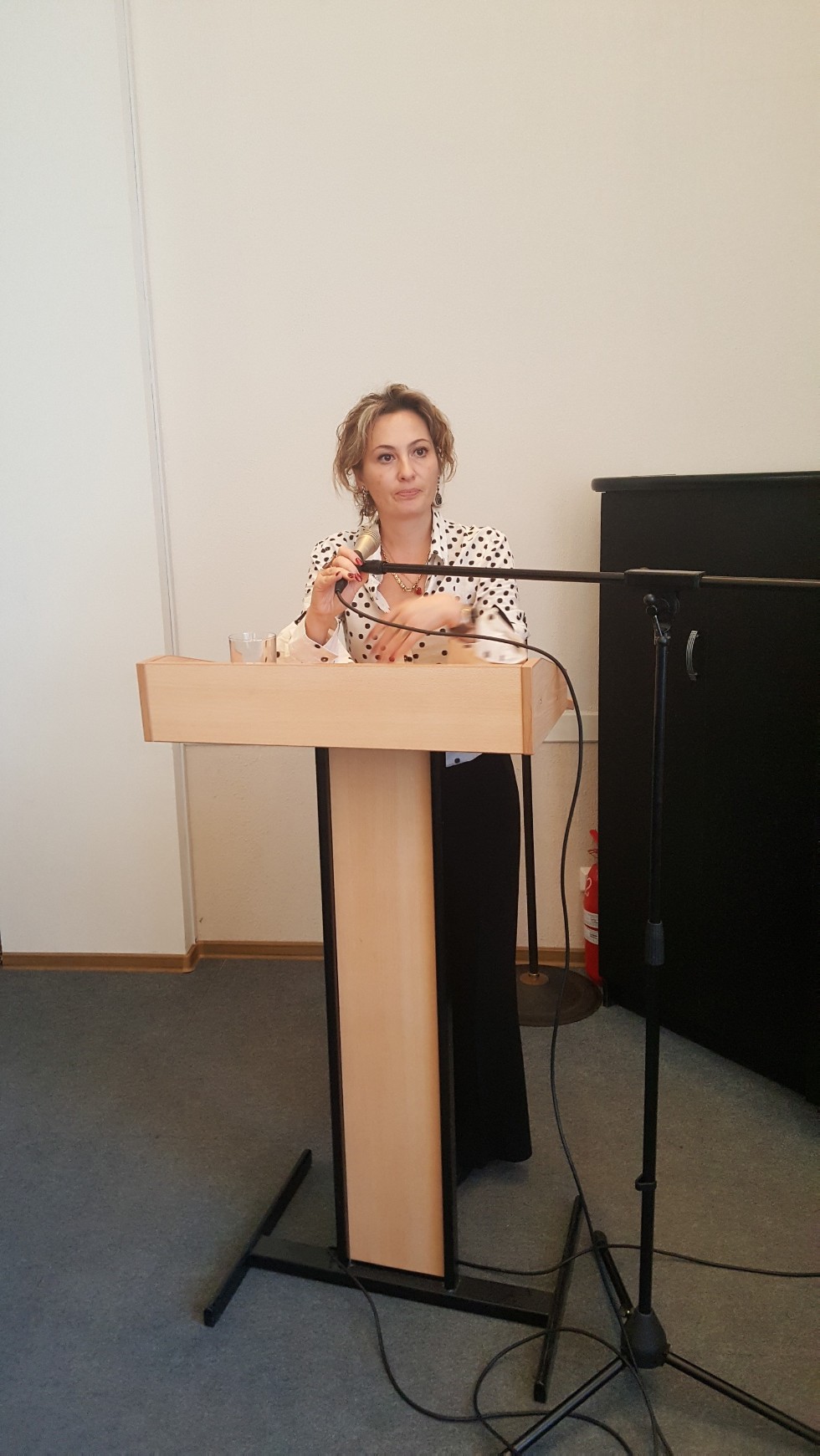 �������� - ���� �������