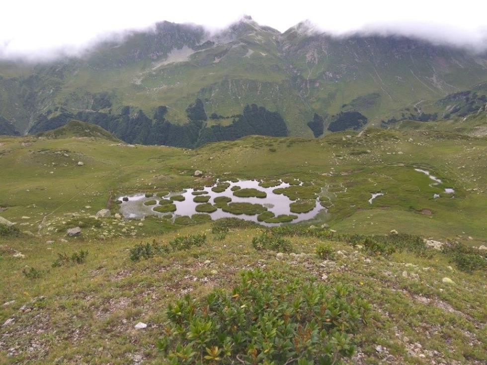 ��������� ��������� ����������, ��������� � �������� ������� ������� �������������� ����� 5000 ������ �������� �������