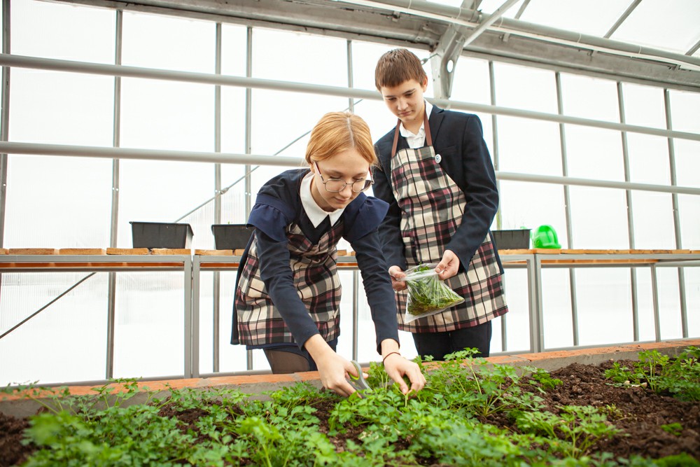 ���������� �������� ��� �������� ������������ ������ �� ���