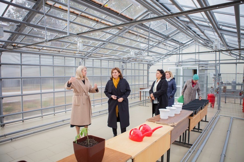 � ���������� ��������� ���������� �������� ���������-�������������� �������