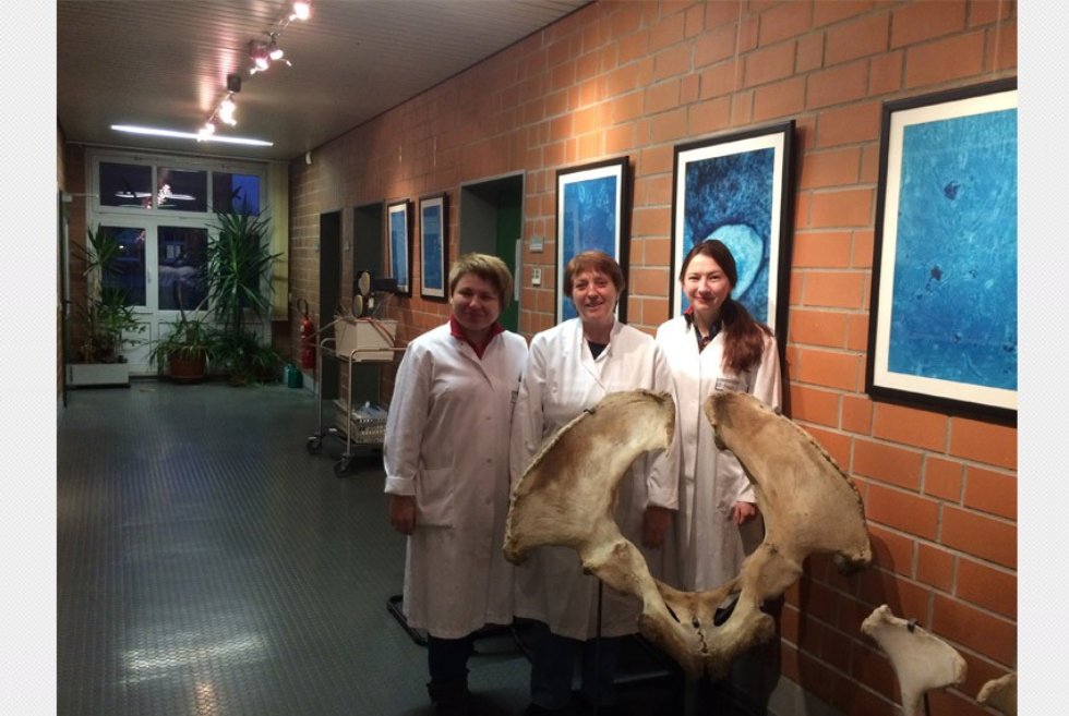 ������� ���������� �� ����������� ���������� � ����������� ����������������� ������������� ��� ������������ ��. ������-������ (������, ��������)