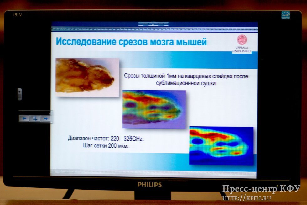 An Interdisciplinary Seminar was Held in KFU An Interdisciplinary Seminar was Held in KFU