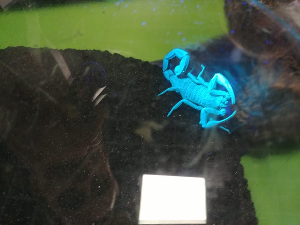 ���������� ��������� ������ �������� �. �, ������� ������� ���������,  ��� ��������� ���������� �������� ����������� ��������� �� ������� ������������ ��������� ������  �������� �.�. ������� ������� � ��������� �  .XIV ��������� ����� ��� ������ 16 �������� 2023 ����.