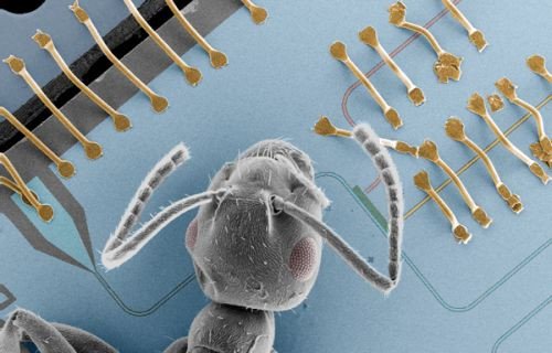 ��������� ����������� ? ����� ����������