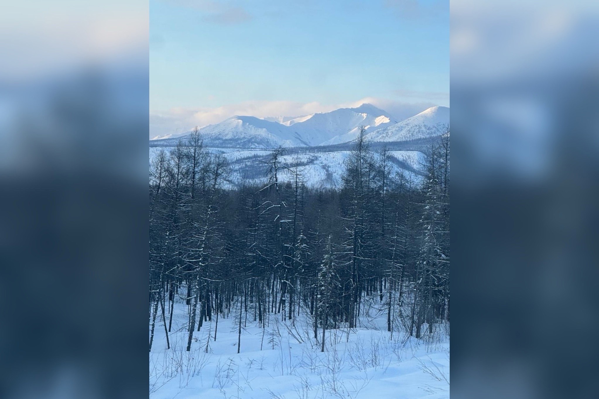 ������ ���� ��������!