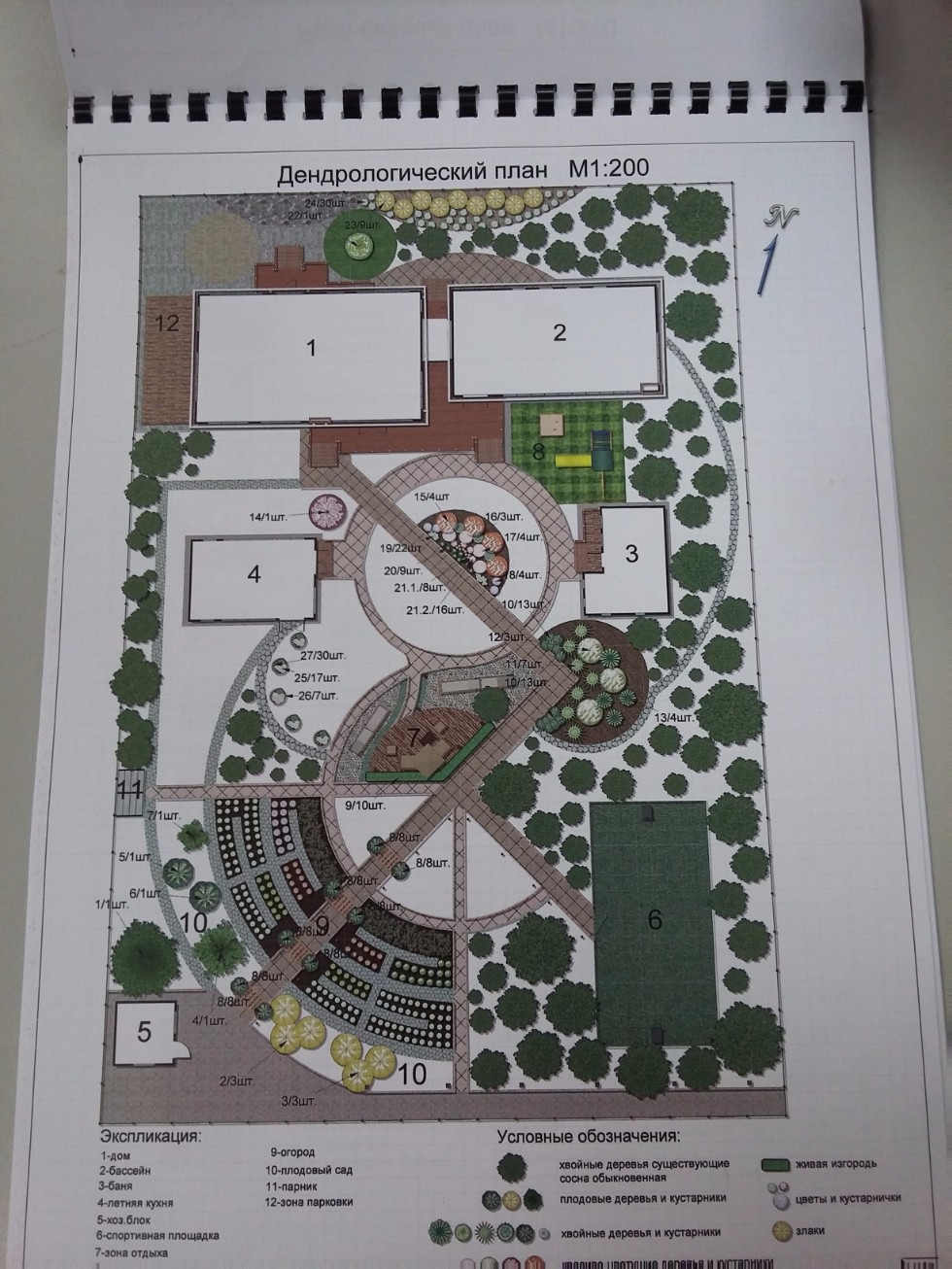 �����������