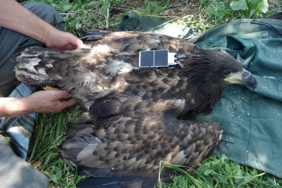 '������� ����������': ��� ������ ������� ����������