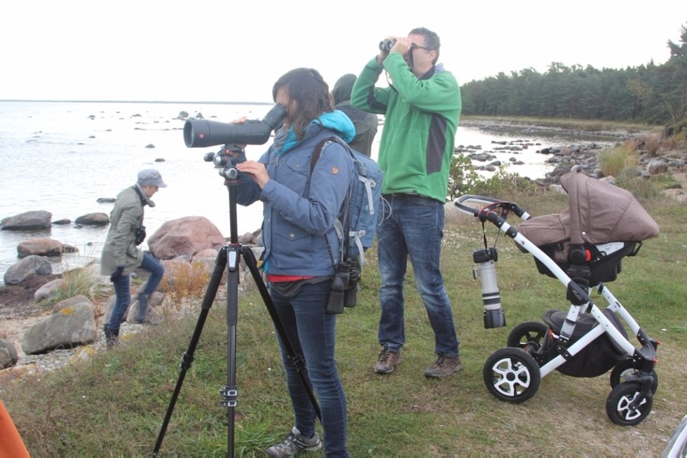 �� ����������� '�����-��������� 2017' � ������� �������� ������ ����������� ��������� ���