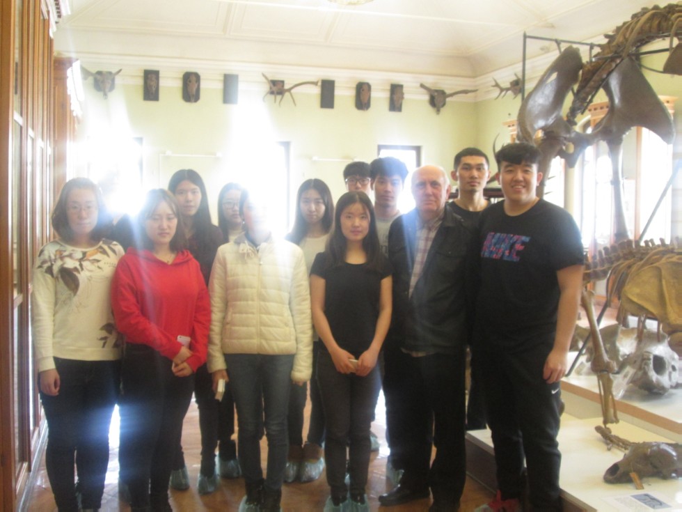 ����������� �������� �������� ����� ���