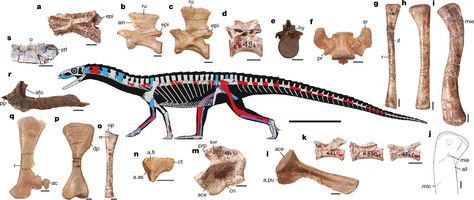 Paleobiologists Make Intriguing New Discoveries about Dinosaurs' Ancestors