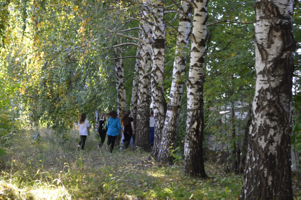 ���� ������������� ? 2017