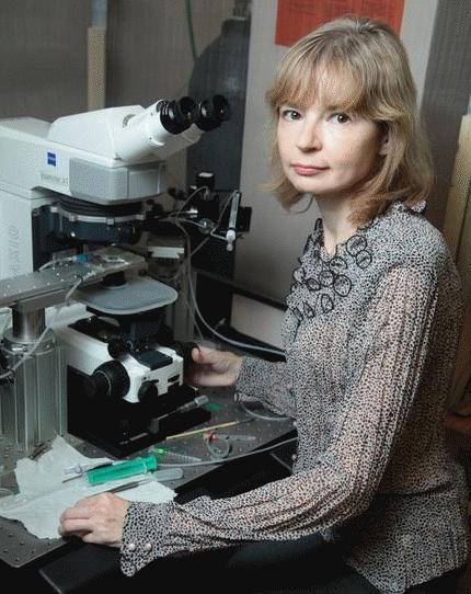 Заведующий кафедры Заведующий кафедры