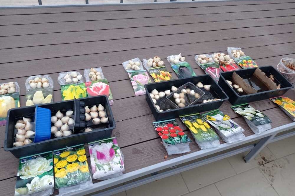 Заседание кружка Заседание кружка